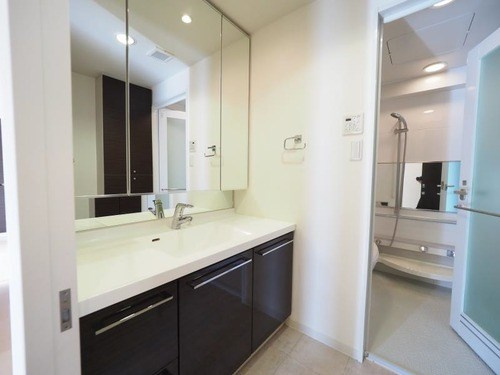 ベレーサ星ヶ丘の洗面所