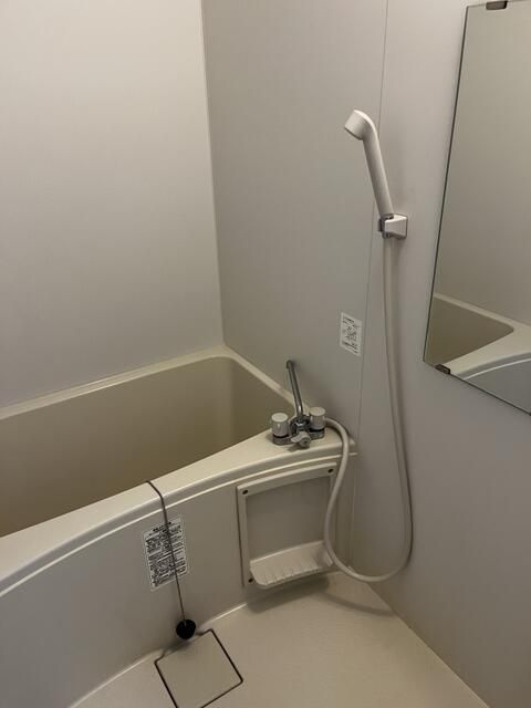 アスパイアレジデンスの浴室