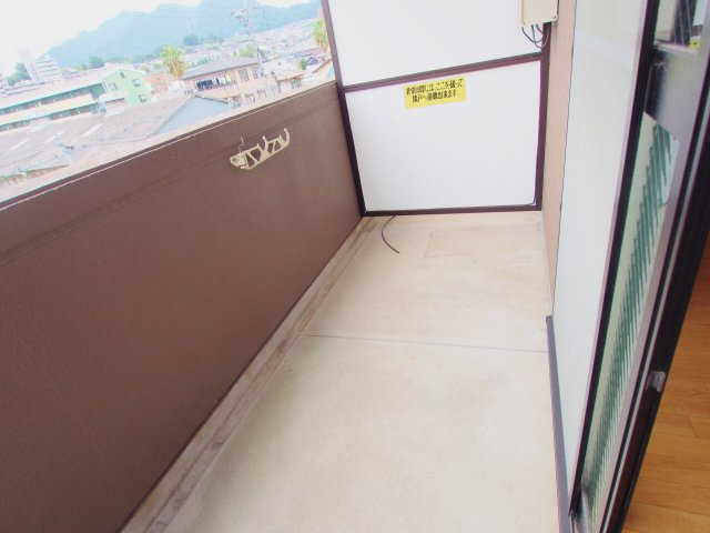 セーヌ川中のバルコニー