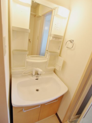 セーヌ川中の独立洗面台