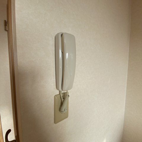 ベルシーヌ緑のセキュリティ