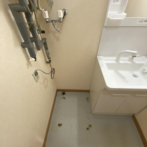 ベルシーヌ緑のその他