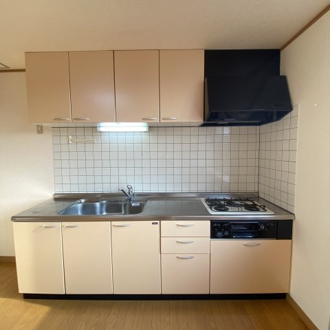 ベルシーヌ緑のキッチン