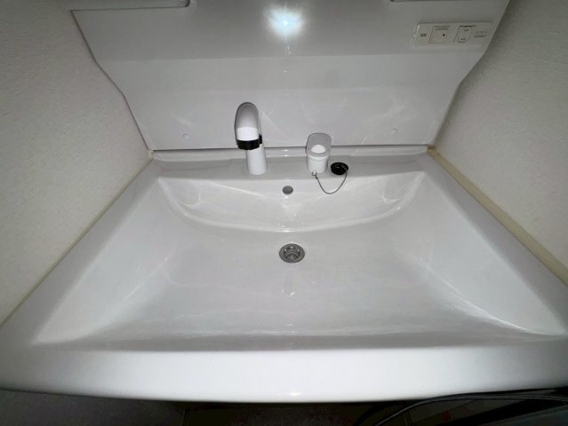 エムフラット衣摺Iの洗面所