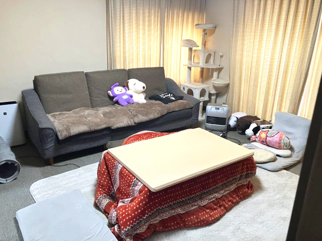 福田　中古戸建　6DKの居間・リビング