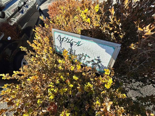 ハイカムールエレガンスのその他