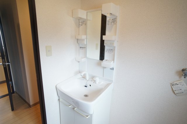 メゾン法蓮Ａの洗面所