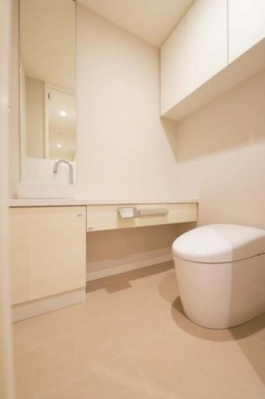 港区麻布台１丁目の賃貸マンションのその他|トイレ