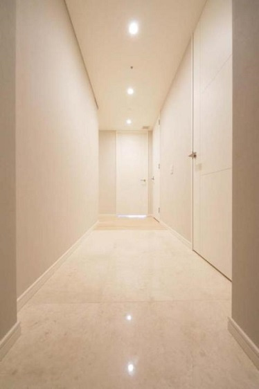 港区麻布台１丁目の賃貸マンションの玄関