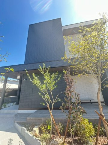 ロンジェヴィータ