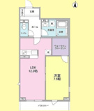 Ｃａｓａ　Ｌｕｐｉｎｕｓの画像