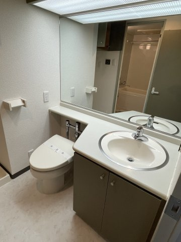 川崎市多摩区登戸の賃貸マンションの洗面所