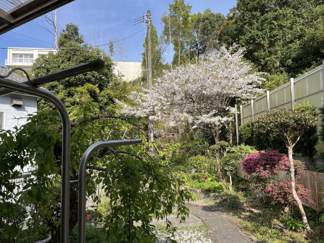【庭】 | 中古一戸建　高知市大津乙