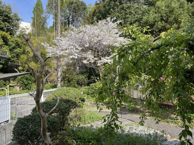 【庭】 | 中古一戸建　高知市大津乙