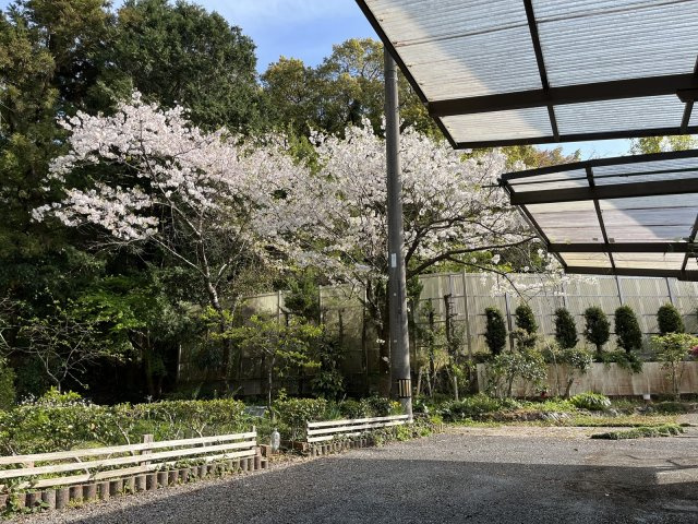 【庭】 | 中古一戸建　高知市大津乙