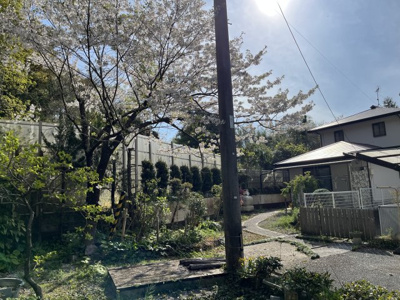 【庭】 | 中古一戸建　高知市大津乙