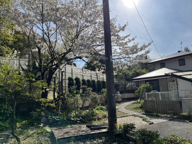 【庭】 | 中古一戸建　高知市大津乙