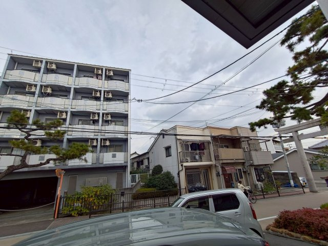 Alivioの展望