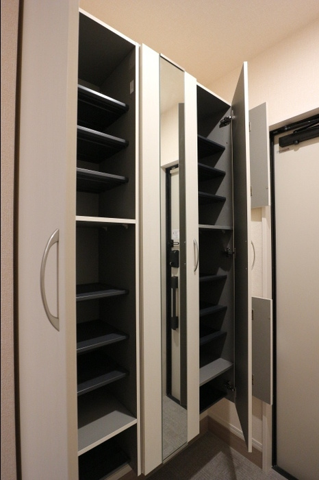 ハイピクチャーD棟の玄関