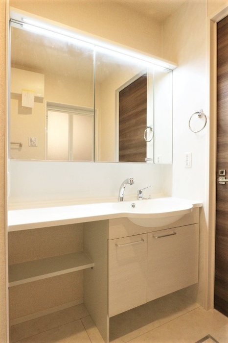 ハイピクチャーD棟の独立洗面台