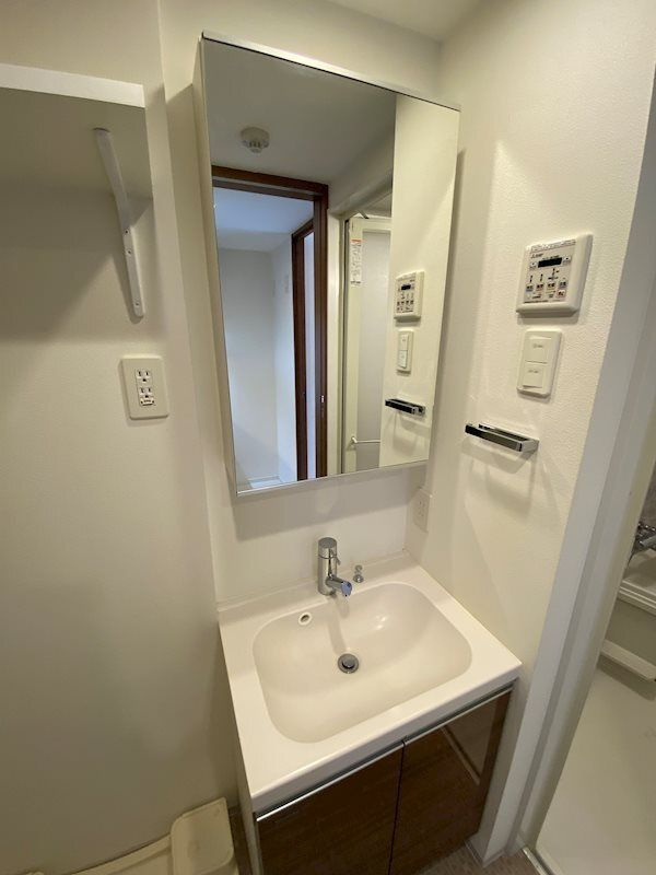 HY’ｓ Vigor 墨田の洗面所