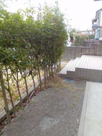 ディアコート札場 C棟の庭|専用庭