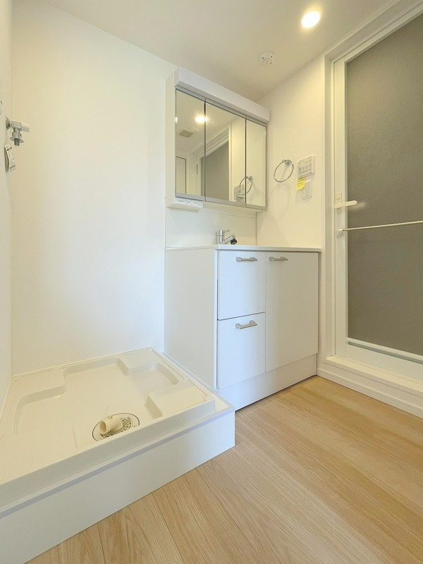 ブルック大和の洗面所