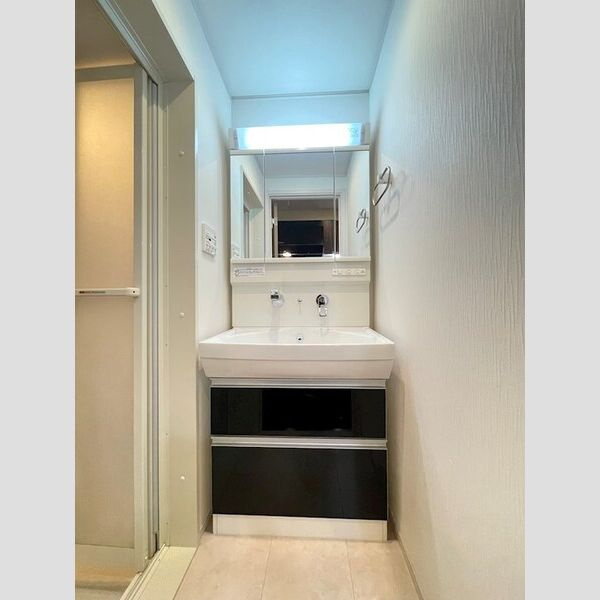 ボスコモンテIの独立洗面台