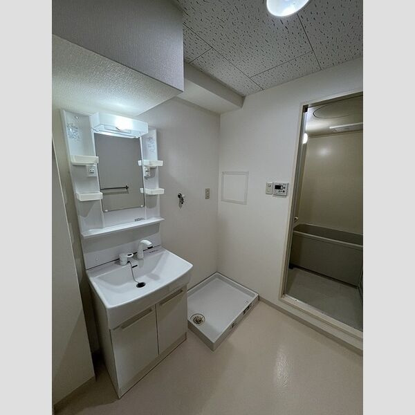 エステートサカイの洗面所