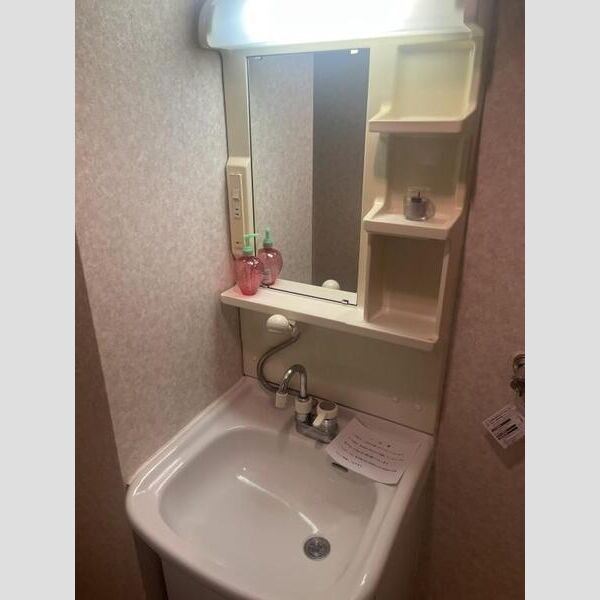 城賀パレスの洗面所