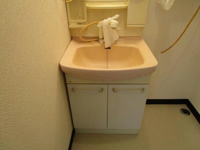メゾンプティパラディの洗面所