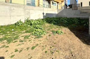 大田区上池台5丁目　建築条件なし土地の画像