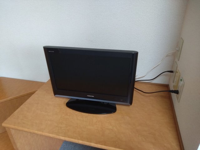 レオパレスセレッソのその他