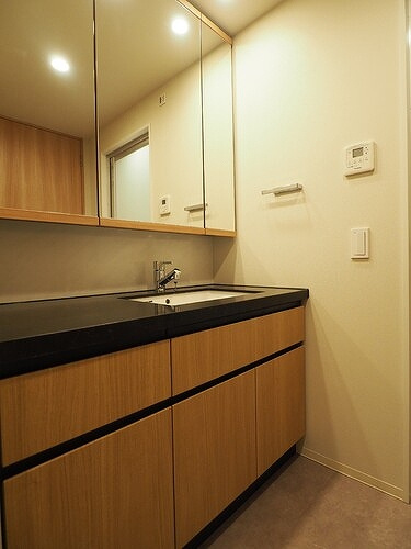 プラウドタワー芝浦の洗面所|洗面所