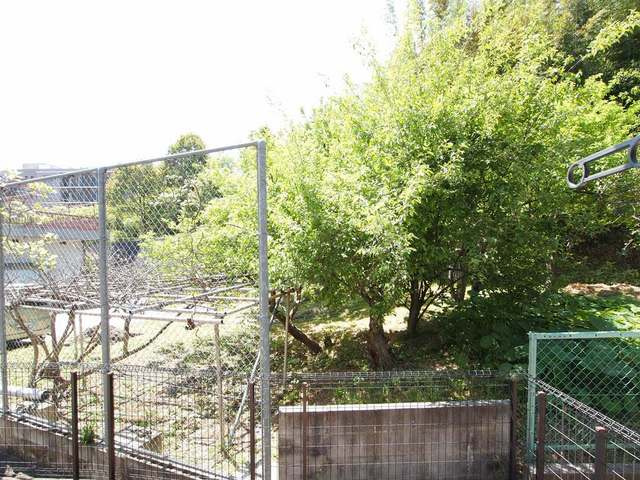 ヒールクリークＭイーストのその他