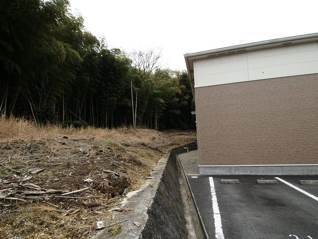 スターフォレストのその他