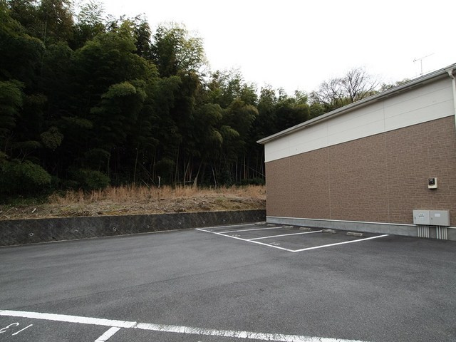 スターフォレストのその他