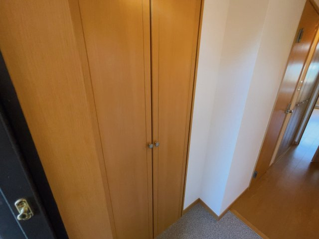 サウスヒルズ緑Bの玄関|別部屋反転間取りのお写真となります。