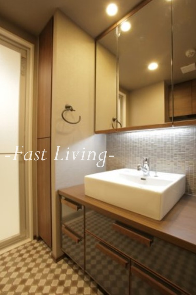 ブランシエスタ白山の独立洗面台