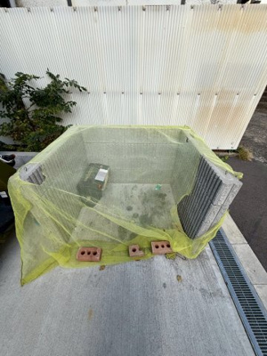 【その他共用部分】 | TRICERA Court