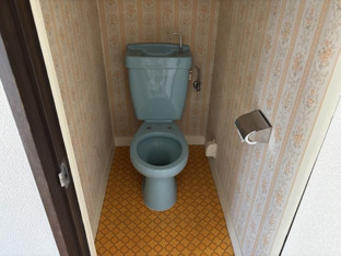 トイレもきれいです