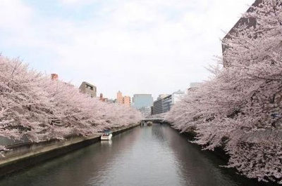 【周辺】 | クレイシア門前仲町