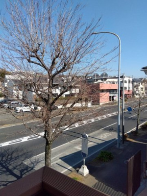 【展望】 | TELACOYA 仁