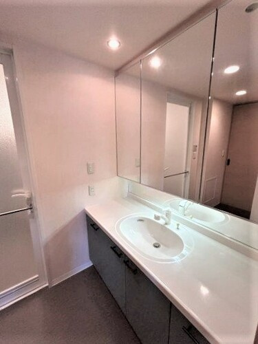 パークシティ ザ ウイングス西棟の洗面所