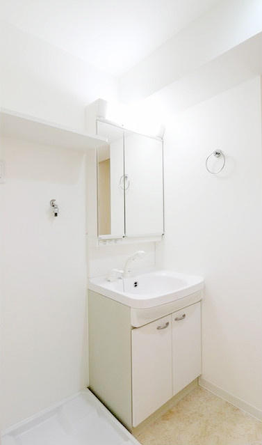 コンフォリア両国トロワの洗面所