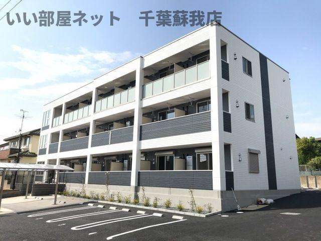 ＣｏｌｌＳｏｌｅｉｌ