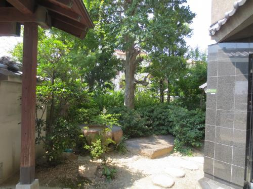 クレール辻堂の庭