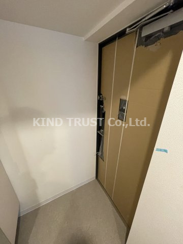 エスリード　ザ・グラン天六（旧エスリードレジデンス天神橋筋六丁目）の玄関|明るい玄関です