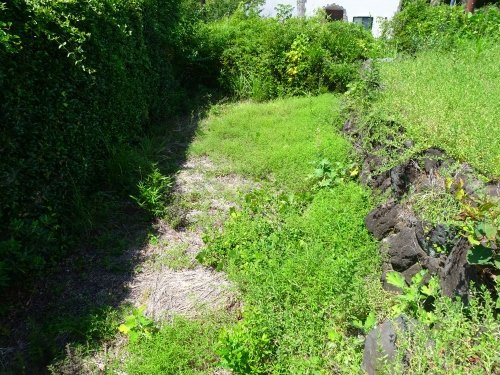 【庭】 | 伊豆急伊豆高原　戸建