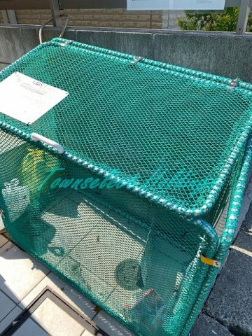 GLメゾン横浜のその他共用部分|敷地内ゴミ置き場あり♪